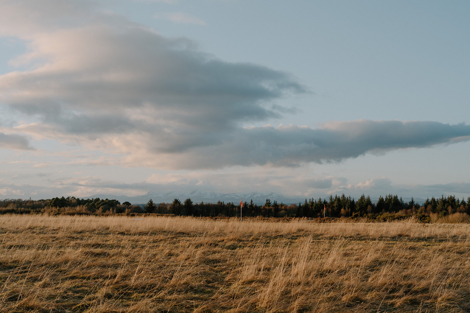 A line of dark storm clouds hangs over a distant treeline above a field of golden long grass.