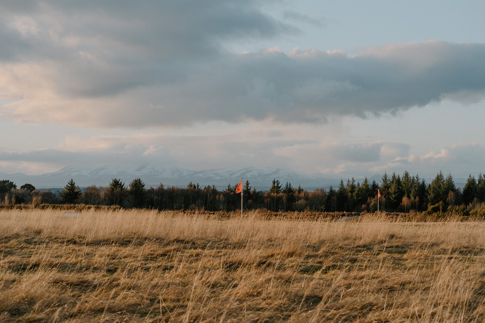 Snow-capped mountains rise faintly behind a treeline and two orange-topped fence posts in a field of golden long grass beneath a cloudy sky.