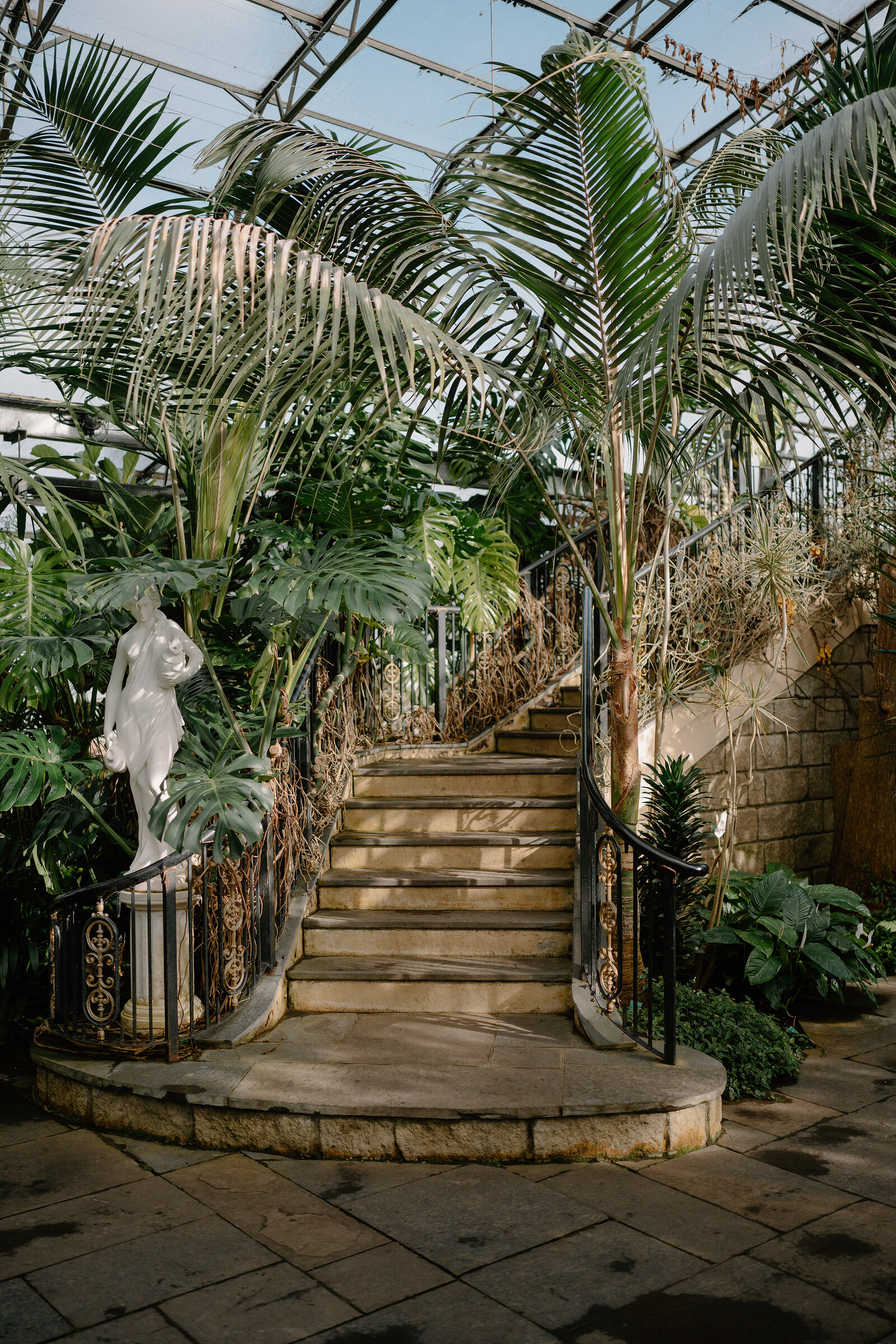 A stone staircase with iron railings curves up through a glasshouse conservatory, a white statue standing at its base among palms.
