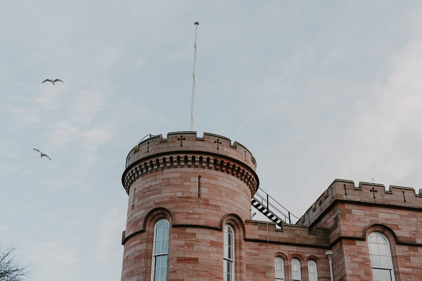 Two gulls fly past a crenellated sandstone corner turret with arched windows and a flagpole.