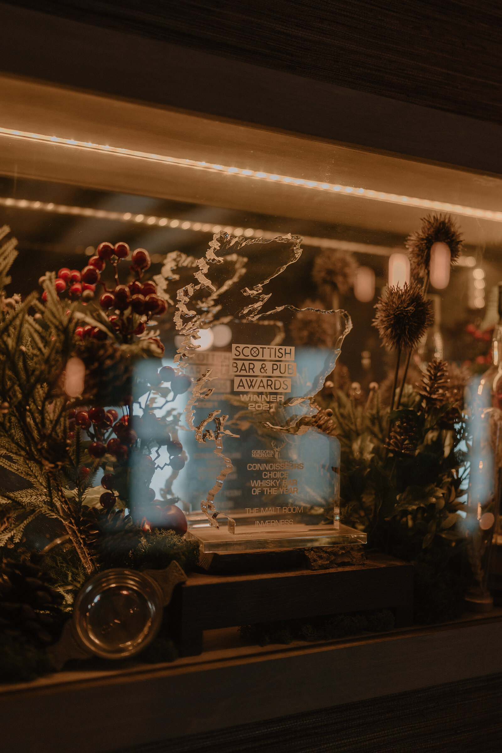 A trophy inscribed "Scottish Bar & Pub Awards, winner" sits illuminated behind glass, surrounded by holly, berries and dried seed heads in a festive display.