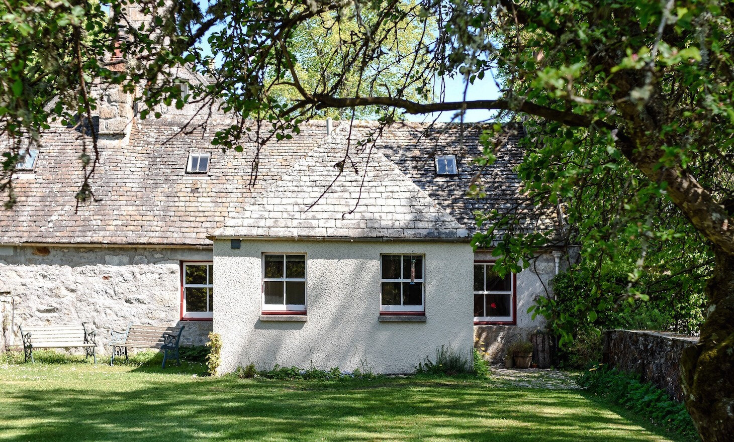 South Dell, a white cottage with a stone gable and a slate roof, its sunny lawn edged by big trees.
