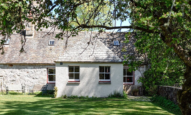 South Dell, a white cottage with a stone gable and a slate roof, its sunny lawn edged by big trees.