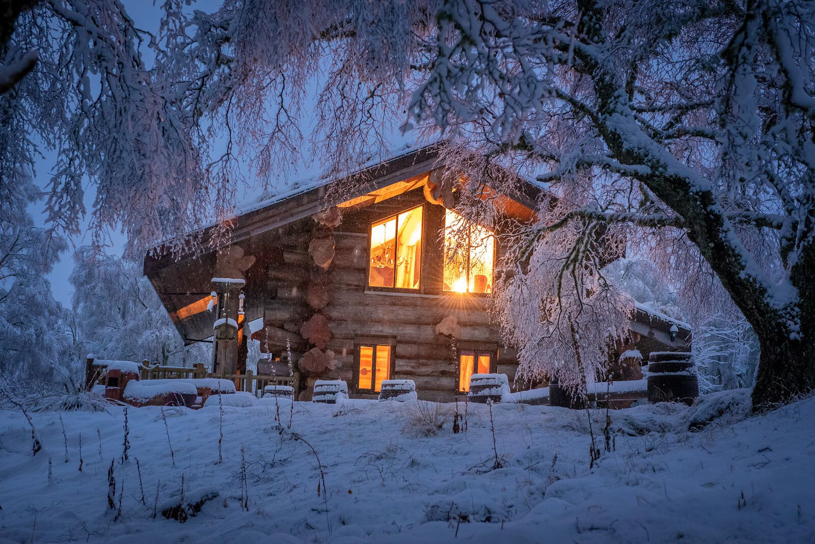 Ardea at dusk under birches white with frost, its windows lit and snow on the ground.