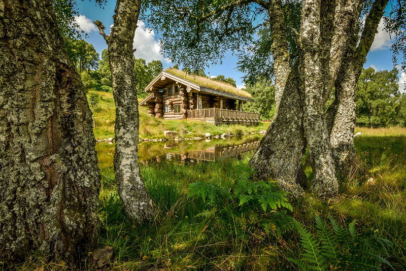 Ardea through old birch trunks, its turf roof and railed deck mirrored in the pond below, ferns in front.