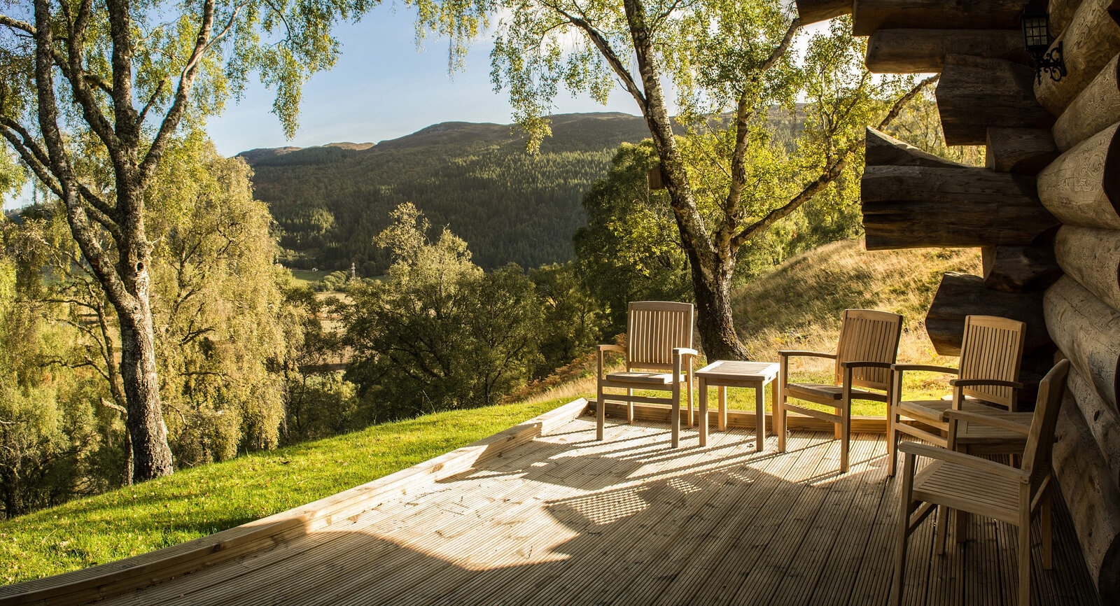 Buteo's deck in morning sun, teak chairs looking out through the birches to the hills of the glen.