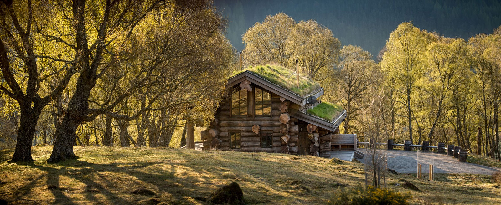 The same view of Certhia among the spring birches, its turf roof catching the light.