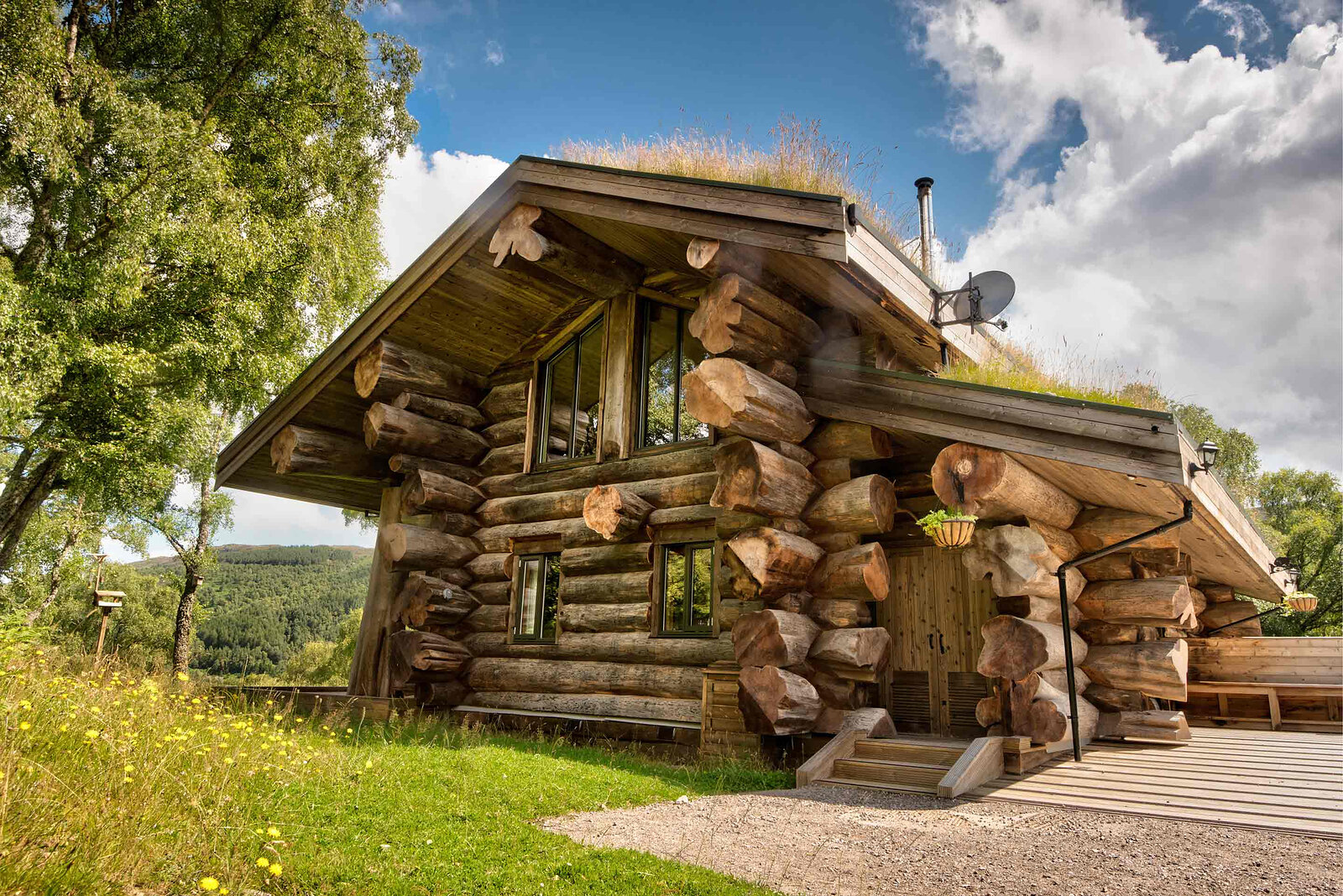Certhia on its ridge: a two-storey log cabin of great notched logs under a turf roof, steps up to the door.