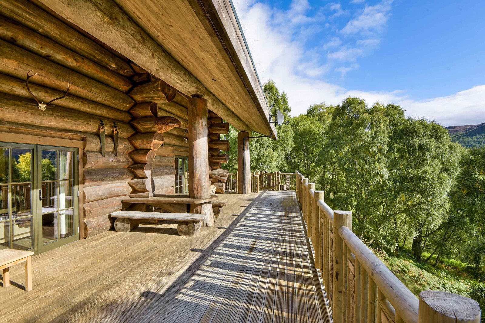 Cinclus's long covered deck in the sun, log benches along the wall and carved railings above the trees.