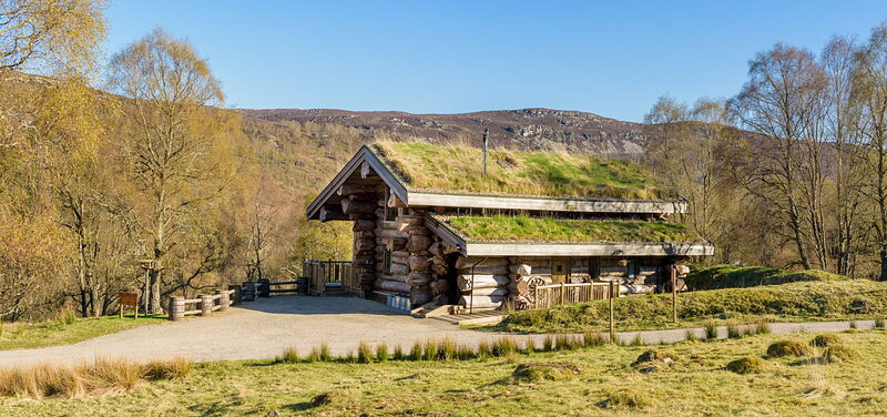 Cinclus on its slope among spring birches, the hills of the glen behind under a blue sky.