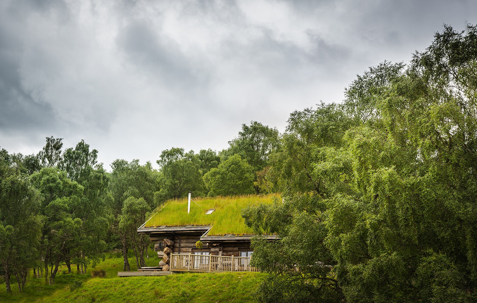 A turf-roofed cabin with a railed deck in thick summer birch woodland under a grey sky.