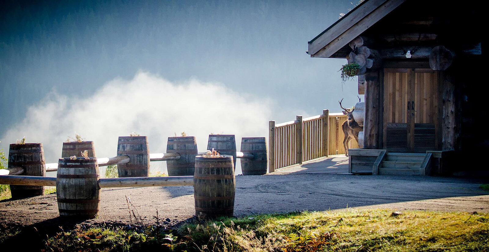 Whisky barrels along a cabin's yard above a sea of cloud in the glen, a stag carving by the steps.
