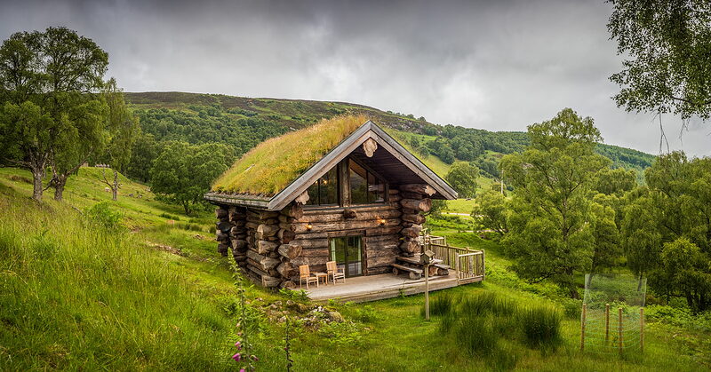 Strix on its green slope in summer, the turf roof and deck among birch and oak, the hill behind.