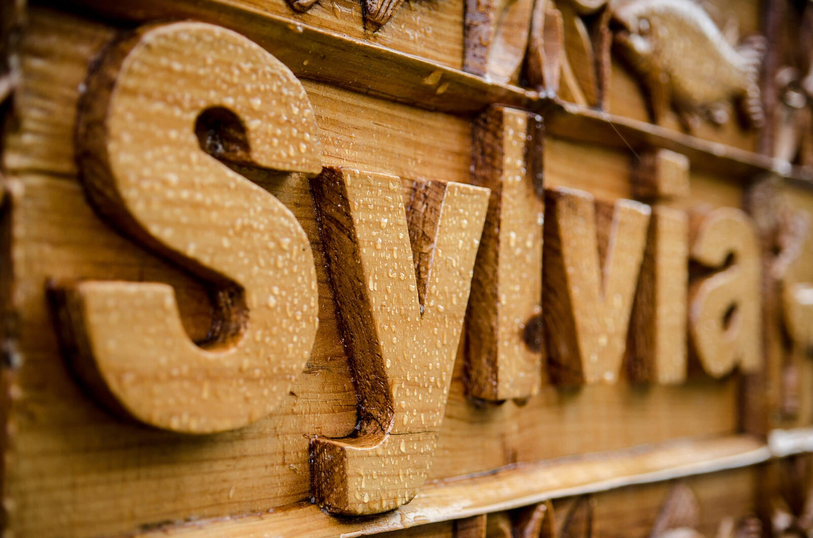 Close on Sylvia's carved wooden name sign, beaded with rain.