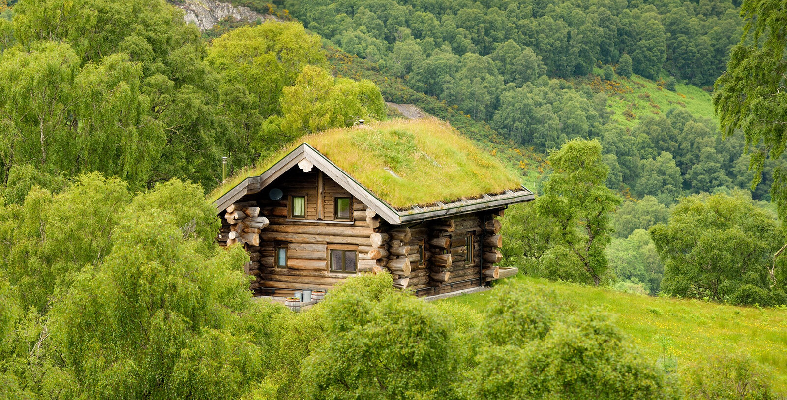 Tringa from above, its turf roof in the green birch canopy on the edge of the ridge.