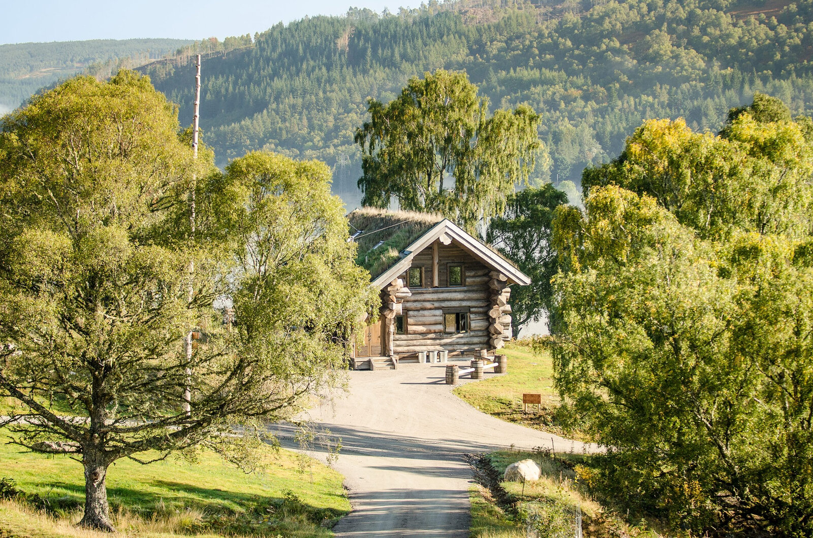 A log cabin at the end of the track under spreading birches, the forested hill beyond.