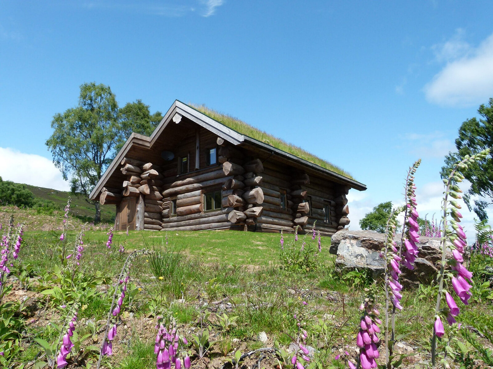 Tringa's long turf-roofed log walls on the hill, foxgloves in flower in the grass below.