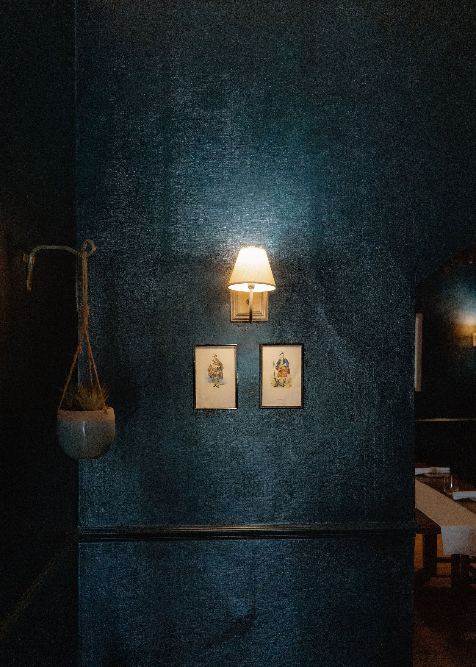 A dark blue textured wall with a lit brass wall light, two small framed prints and a plant hanging in a rope holder.