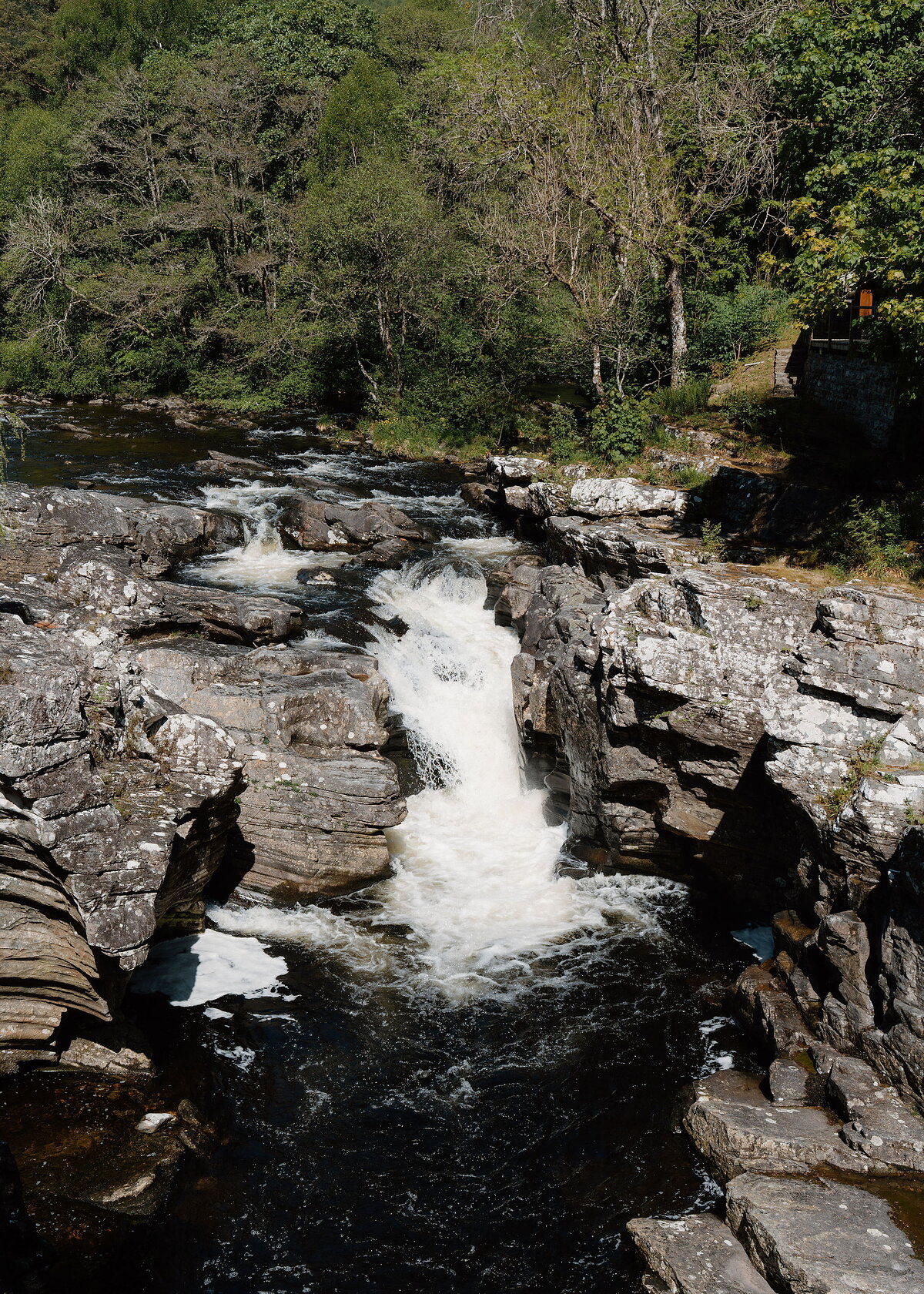 Looking down on a waterfall pouring white through a channel in grey rock into a dark pool, woods above.