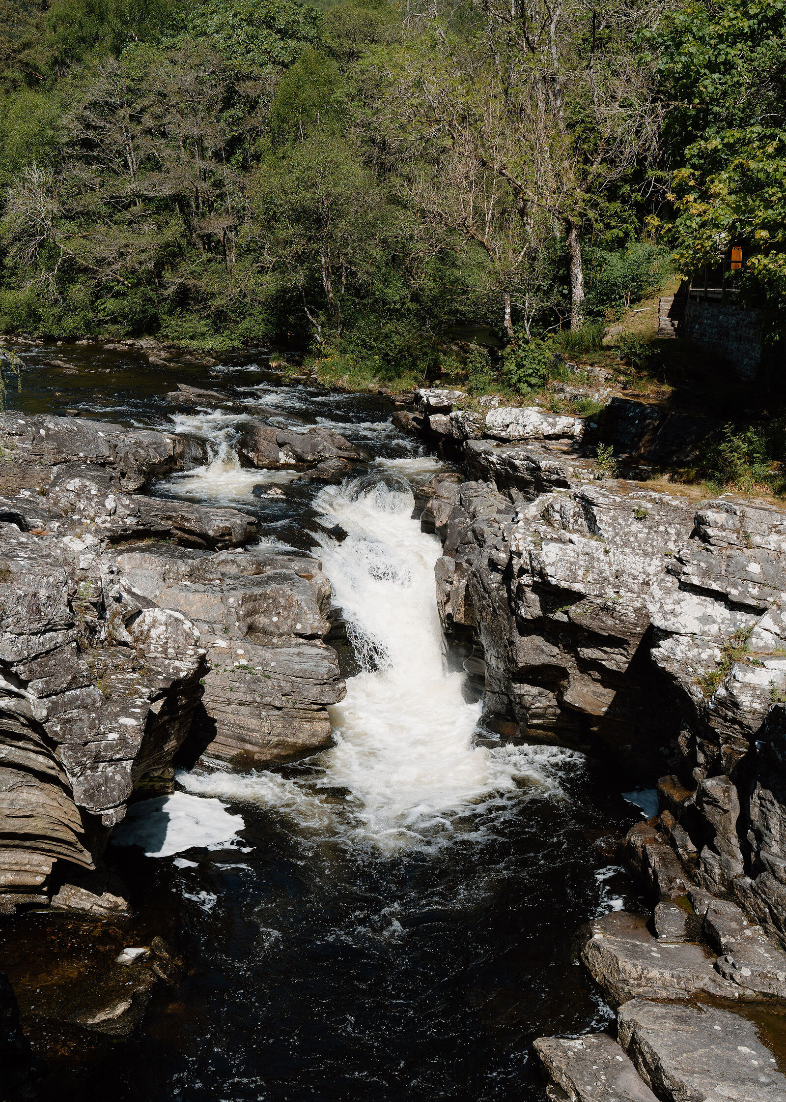Looking down on a waterfall pouring white through a channel in grey rock into a dark pool, woods above.