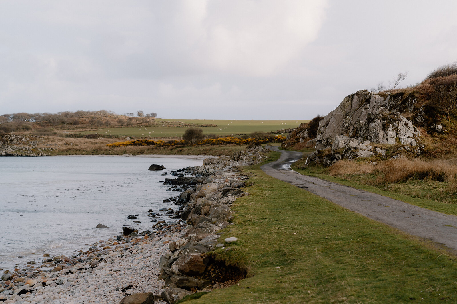 A coastal road runs along a rocky shore beside grazing fields.