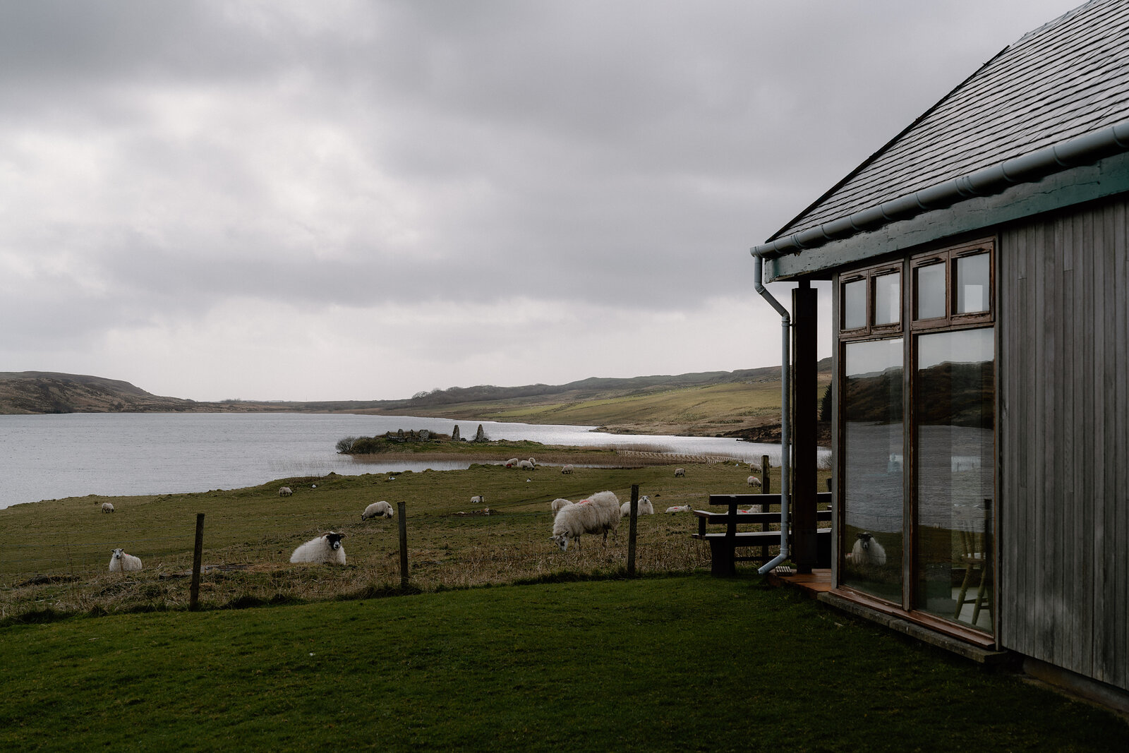 Sheep graze on a lochside lawn beside a timber house with large picture windows.