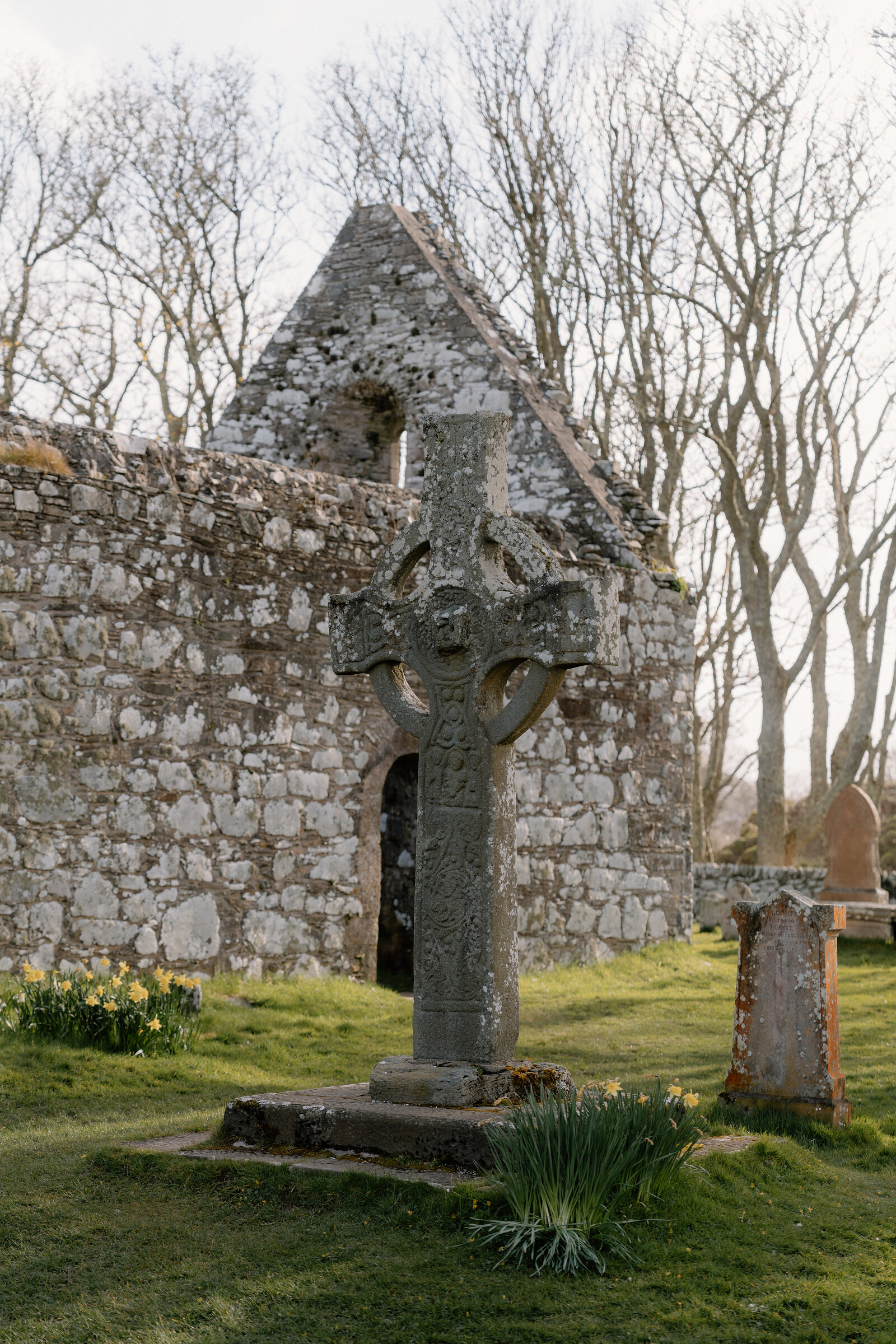 An intricately carved ringed cross stands amid daffodils before the ruined walls of a stone chapel.