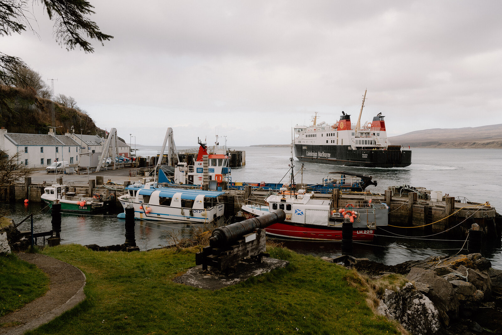 A Caledonian MacBrayne ferry approaches Port Askaig harbour past moored fishing boats, an old cannon on the grassy foreground bank.
