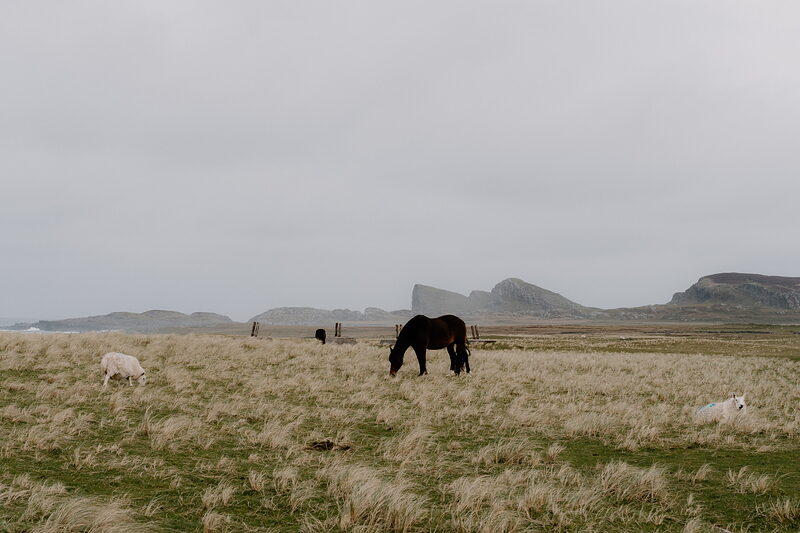 Saligo Bay and lunch at Kilchoman Distillery