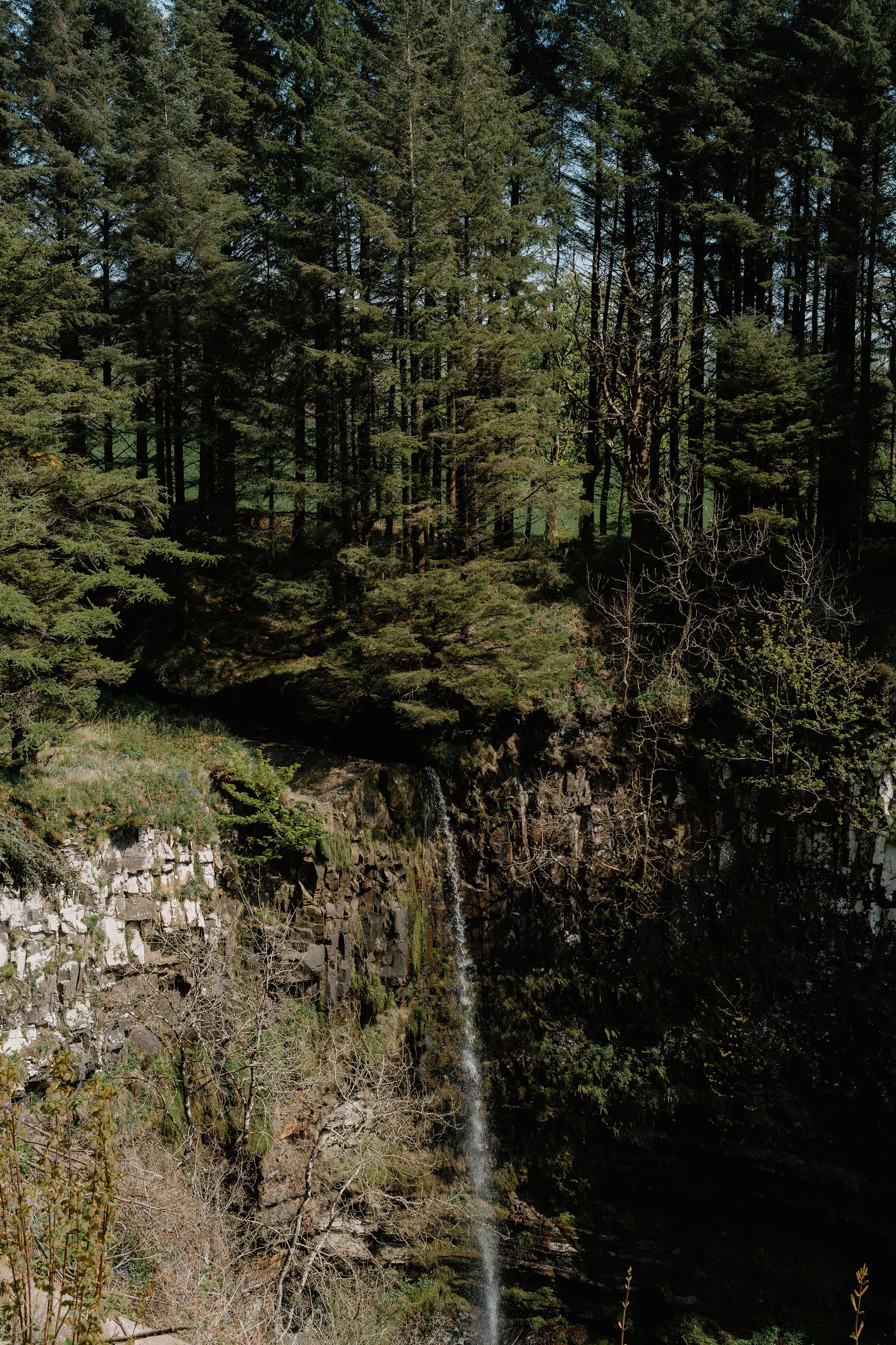 Eas Mòr and lunch at the Forest of the Falls