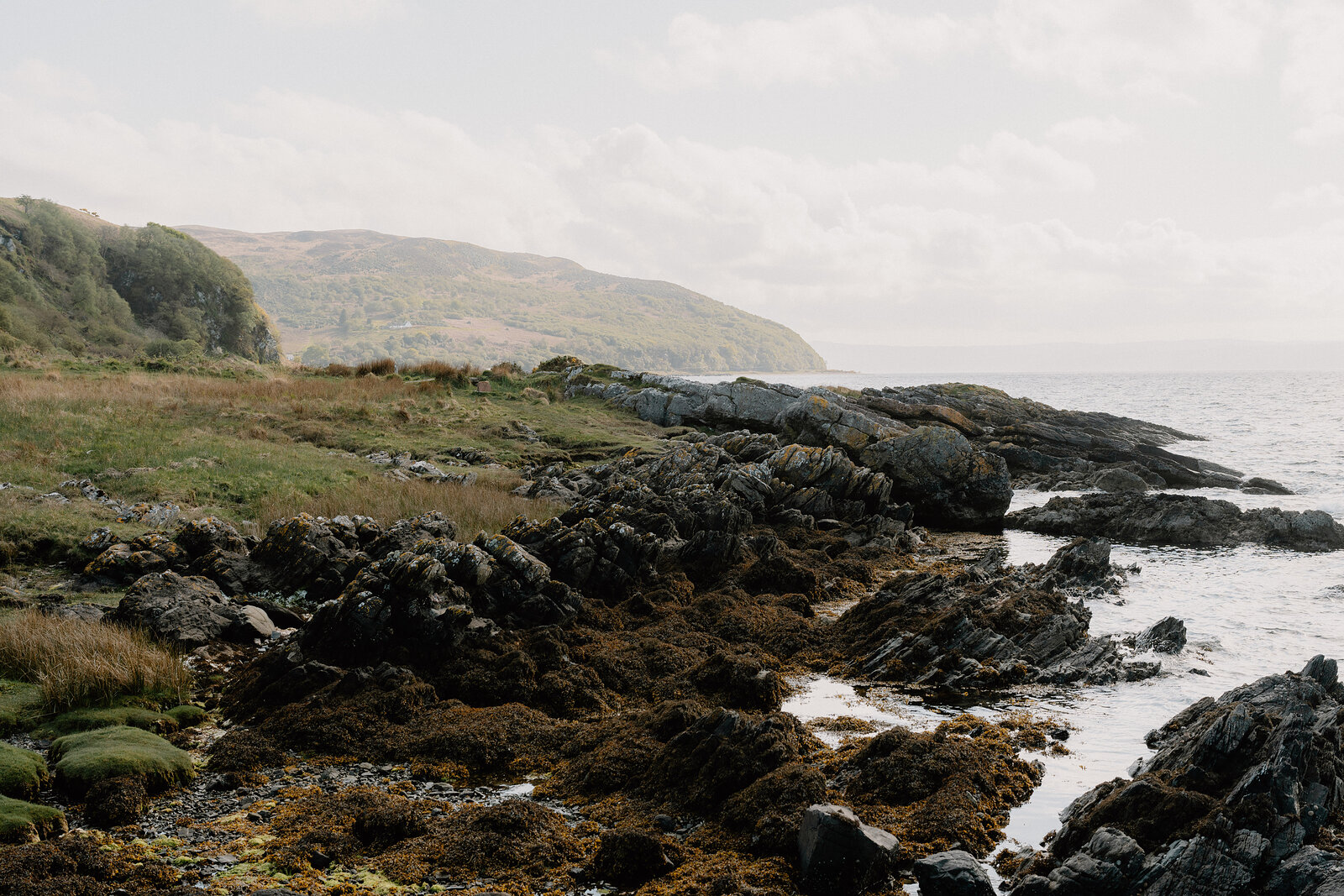 Seaweed-covered rocks line a grassy shoreline, a wooded headland curving into the sea beyond.