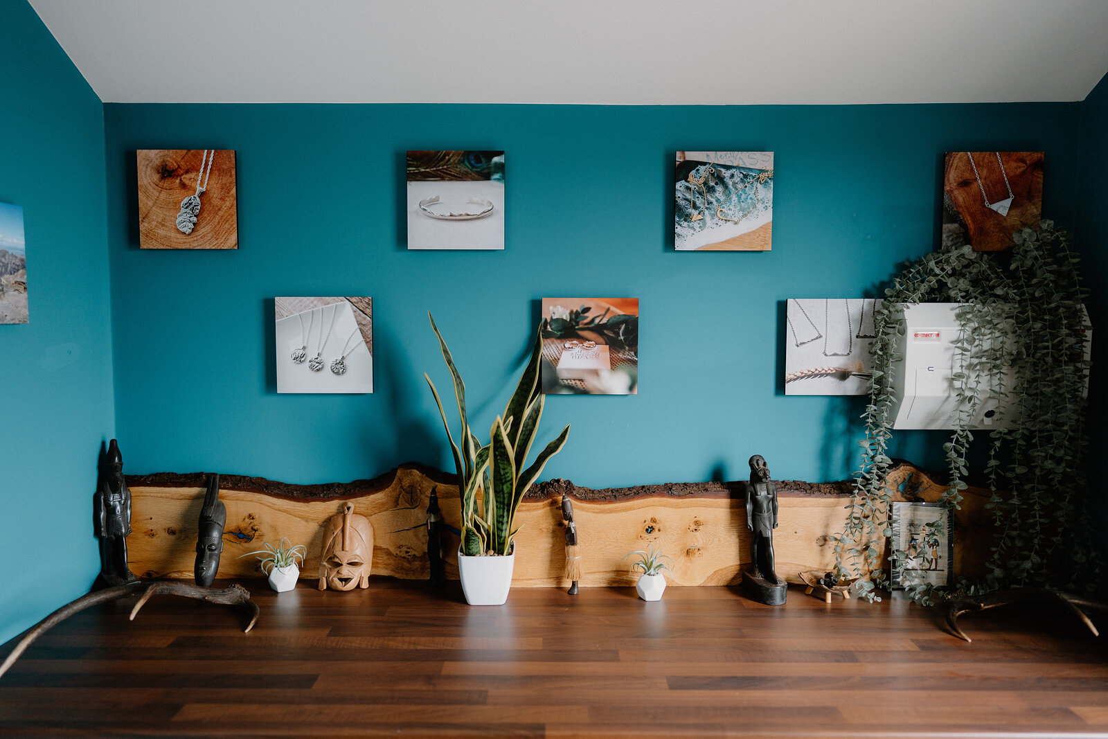 Framed photographs of jewellery hang on a teal wall above driftwood shelving displaying rings, sculptures and a potted plant.