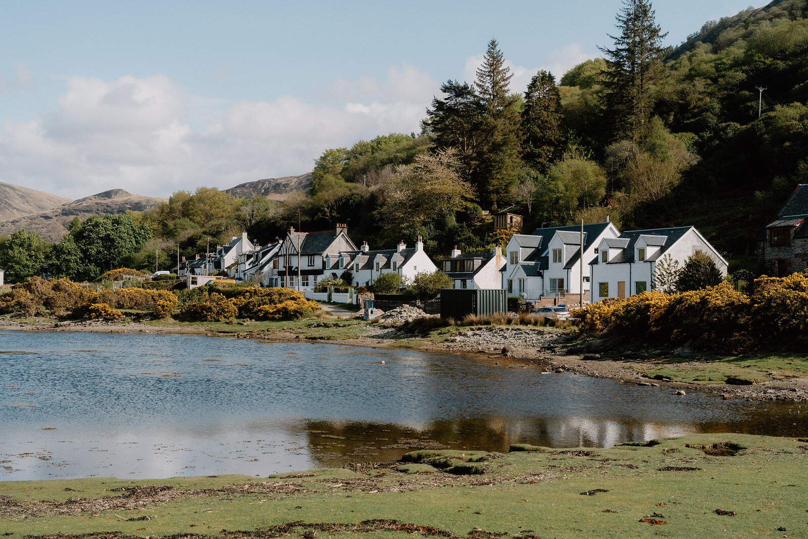A row of whitewashed cottages lines the shore of a calm loch, wooded hills rising behind and gorse in yellow flower along the bank.