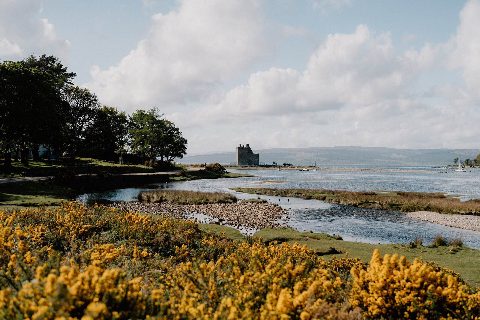 A castle stands on a peninsula beside a calm loch, yellow-flowering gorse filling the foreground and hills fading into the distance.