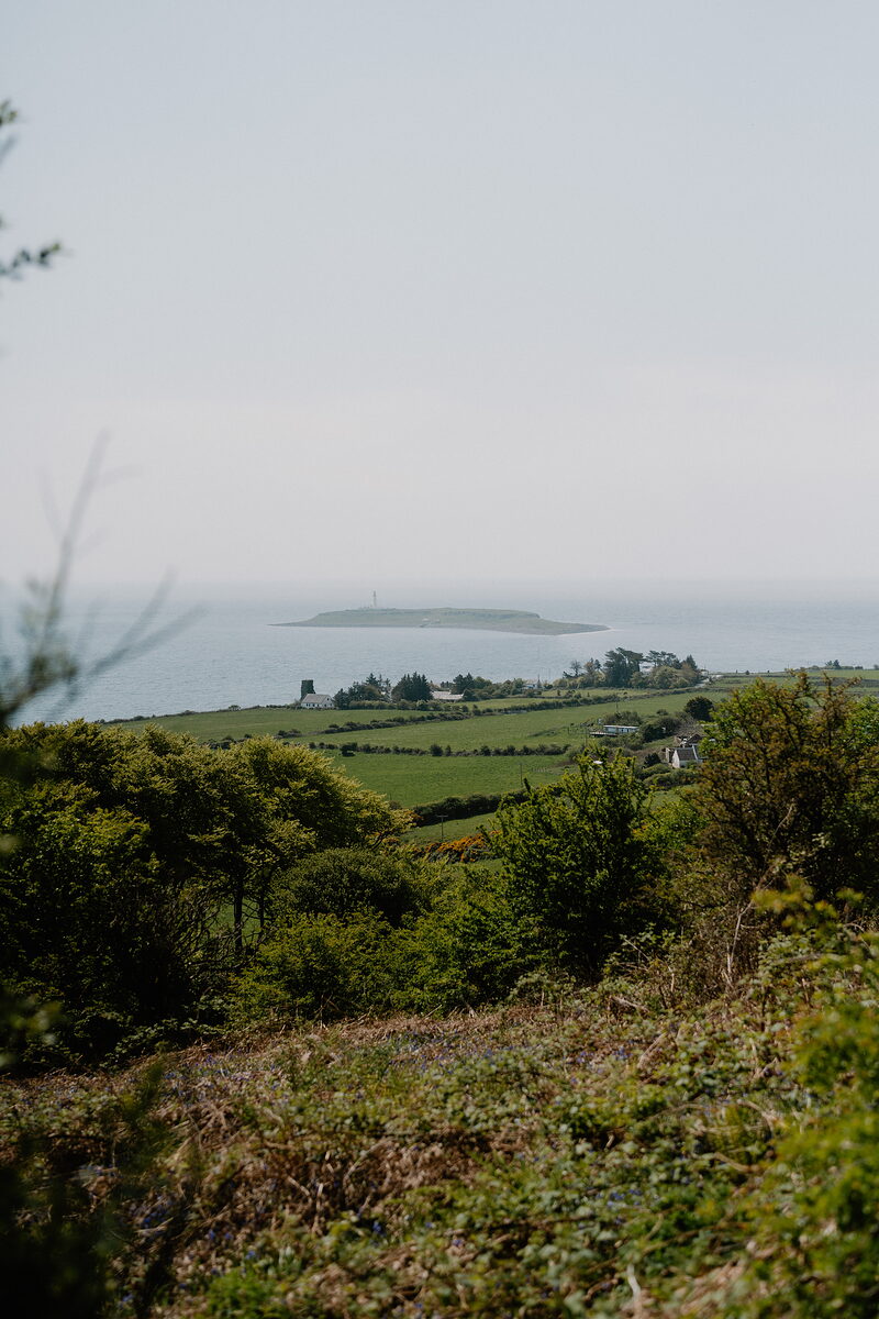 A small rocky island with a lighthouse sits offshore beyond green farmland and hedgerows seen from a wooded hillside.