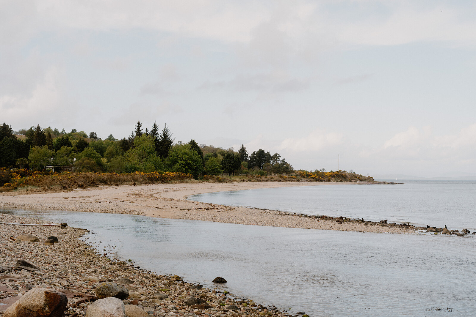 A curving sand and shingle beach backed by pine trees meets a calm sea under an overcast sky.