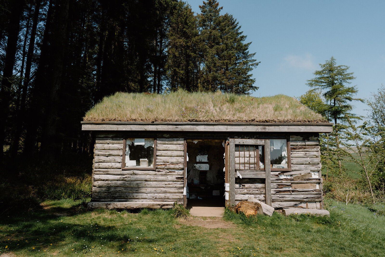 A turf-roofed timber cabin with weathered log walls and small paned windows stands in a grassy clearing among pine trees.