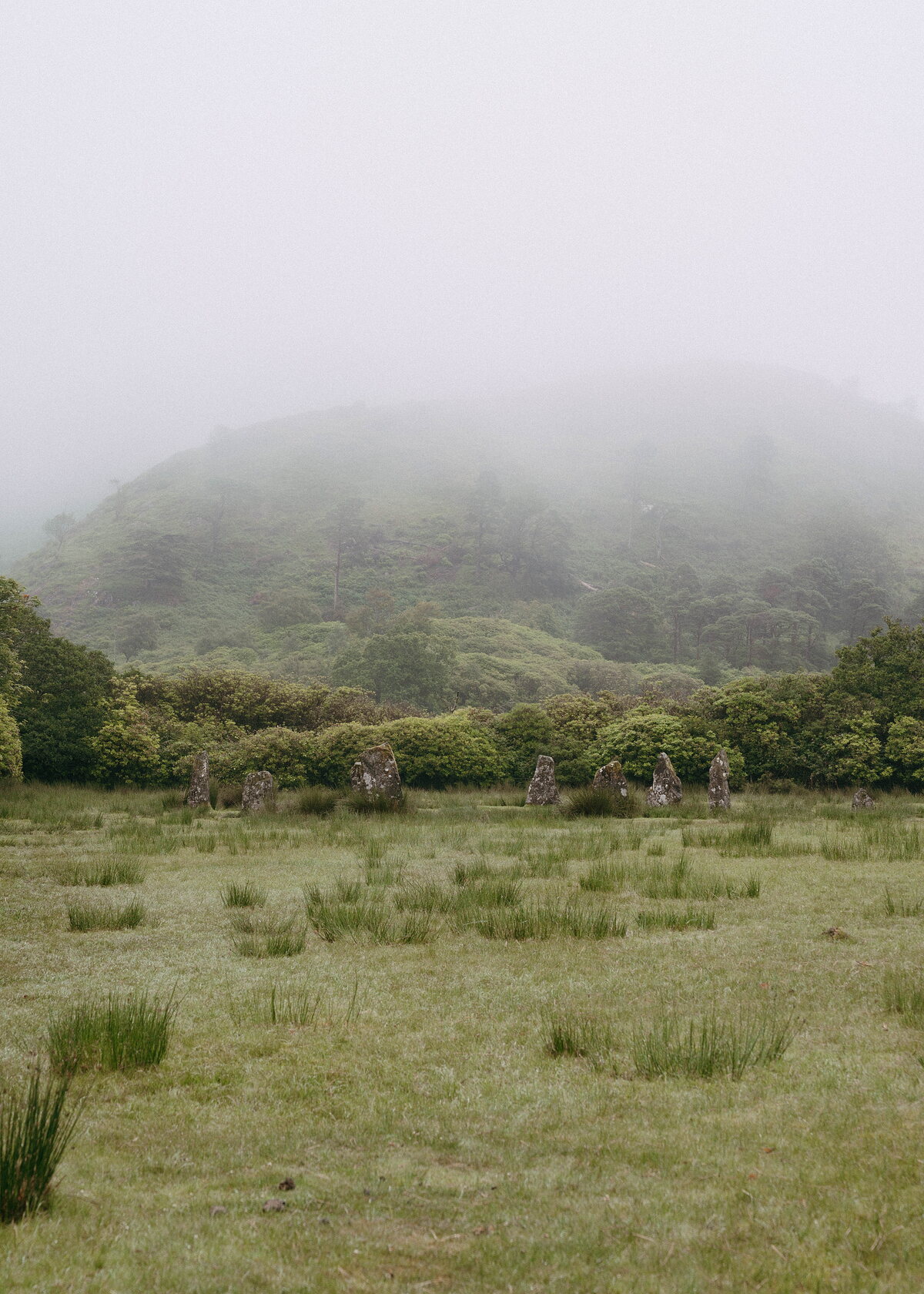 A ring of low standing stones sits in a misty field, a wooded hillside fading into fog behind.