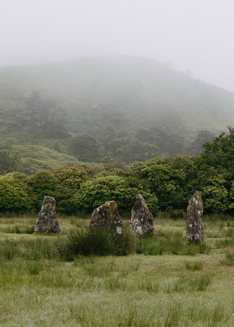 Four standing stones rise from a grassy clearing wrapped in mist, shrubs and trees framing the scene.