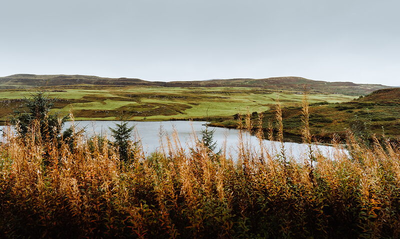 A calm loch stretches between rolling green hills, autumn-coloured grasses and a pine tree framing the near shore.
