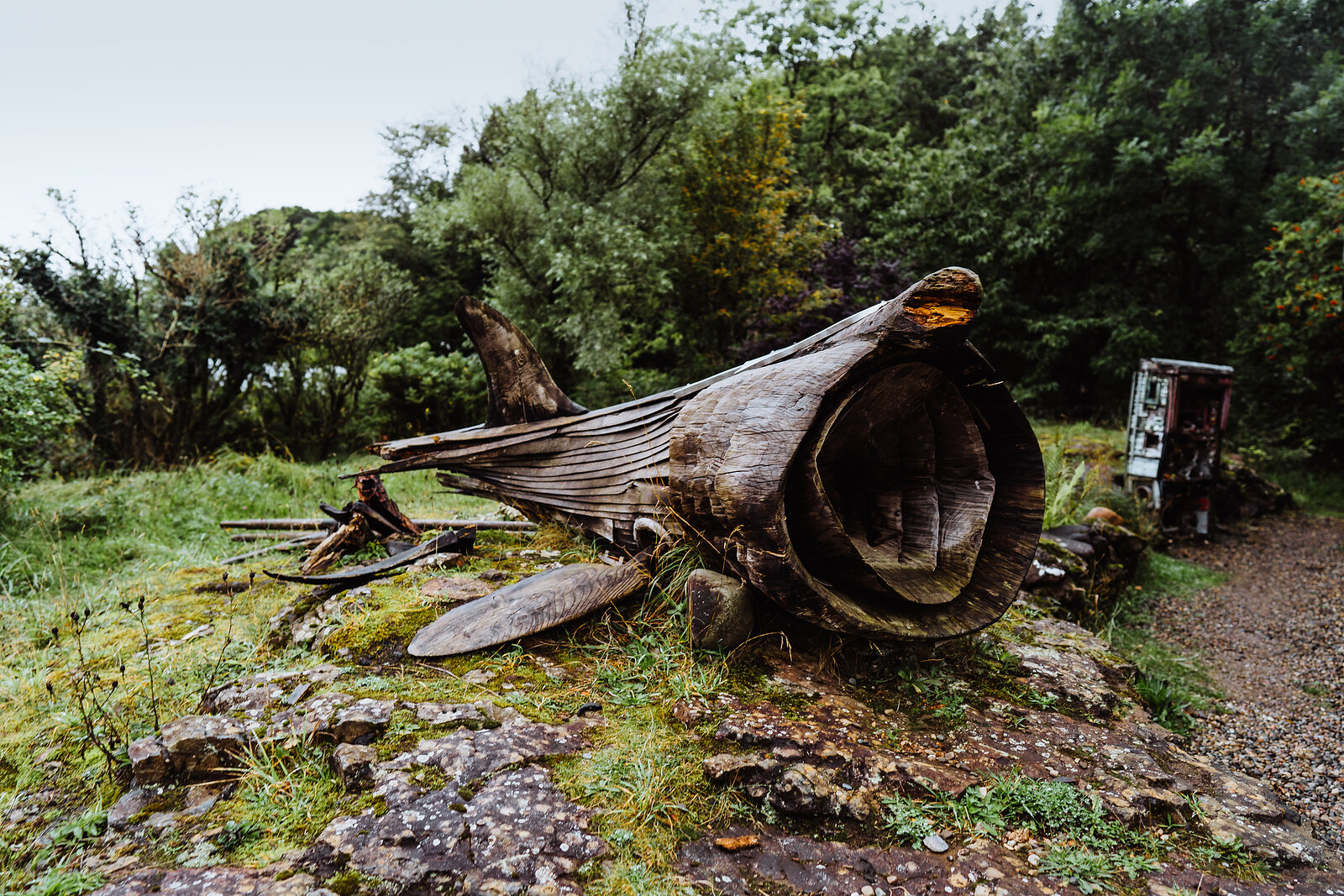 A carved wooden sculpture resembling a whale's open mouth lies among ferns beside a forest path, weathered wooden fins scattered around it.