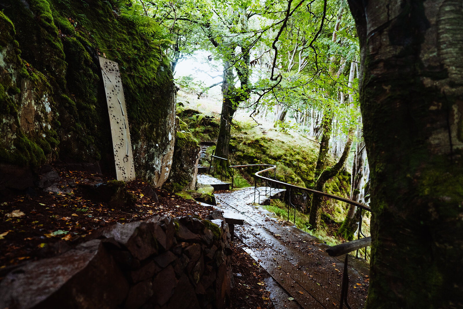 Two carved wooden totem markers stand among moss-covered rocks and beech trees at the entrance to a woodland path.