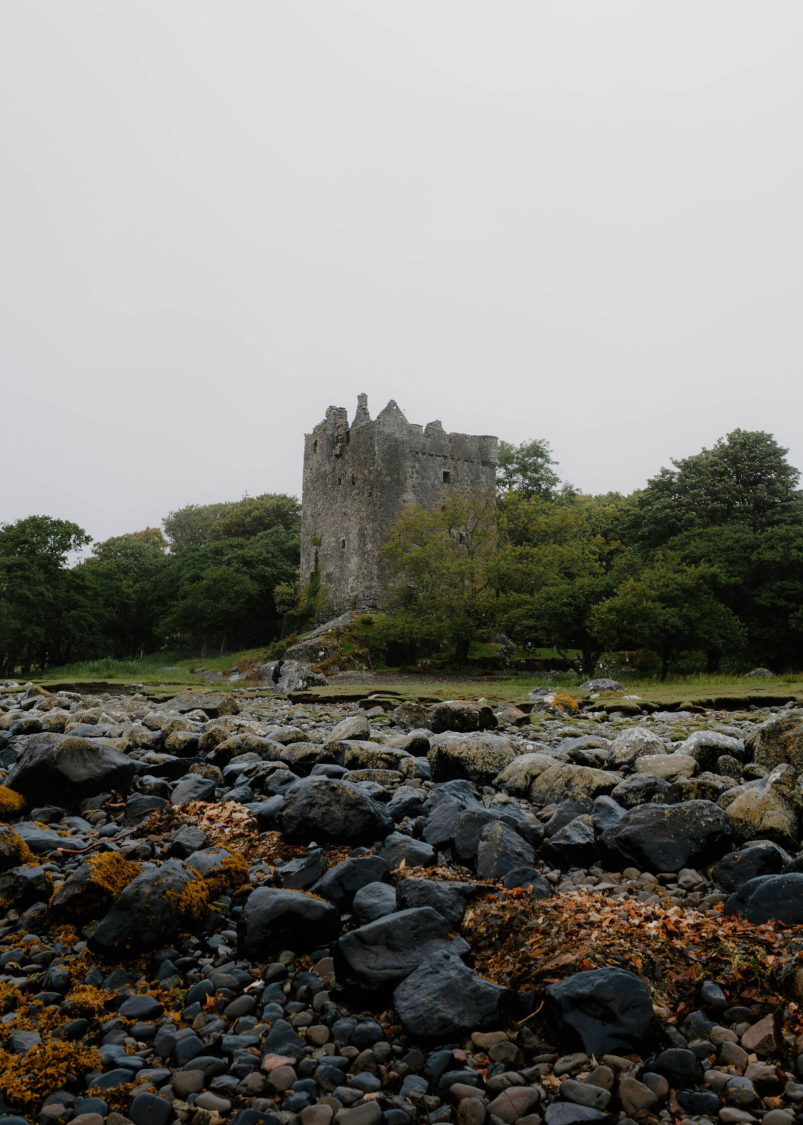 Moy Castle above its trees, seen across a shore of dark boulders and orange seaweed under a white sky.