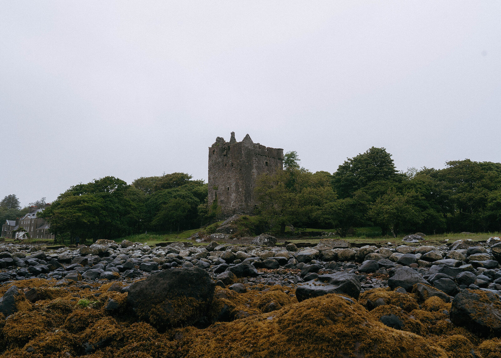 A landscape view from low on the seaweed-covered rocks to the castle tower and the trees around it.