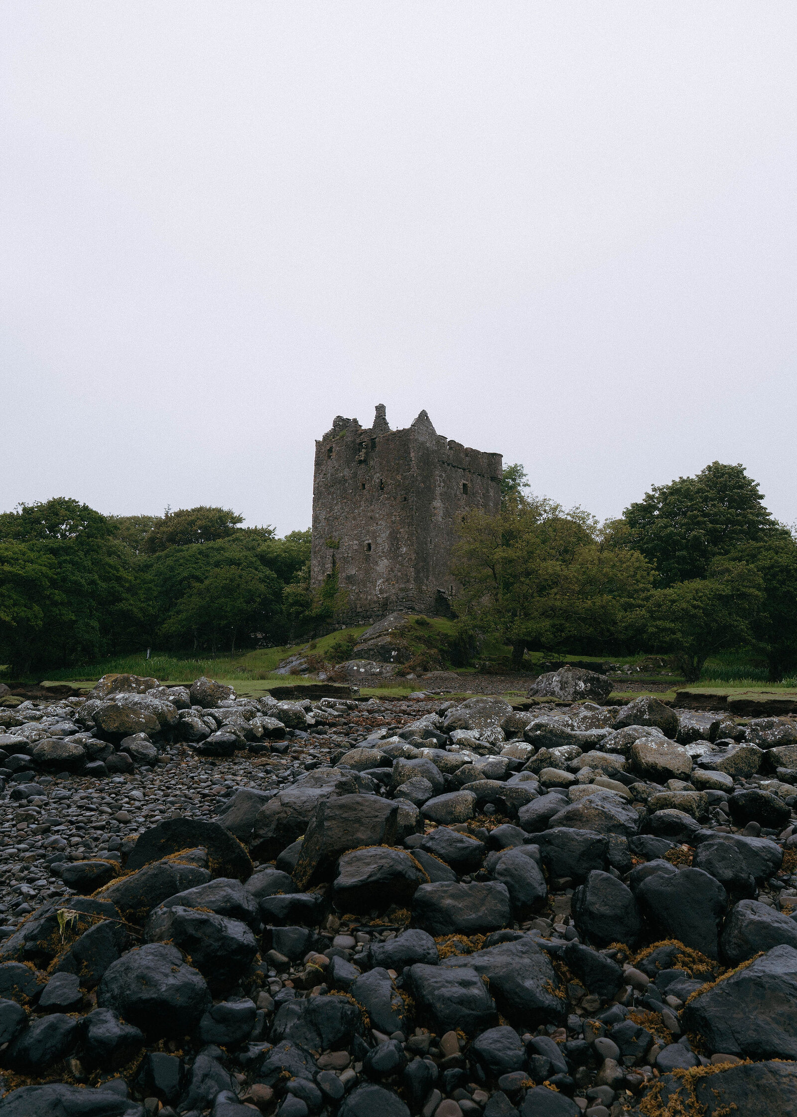 The castle tower and its trees above a foreground of dark, wet, rounded stones.