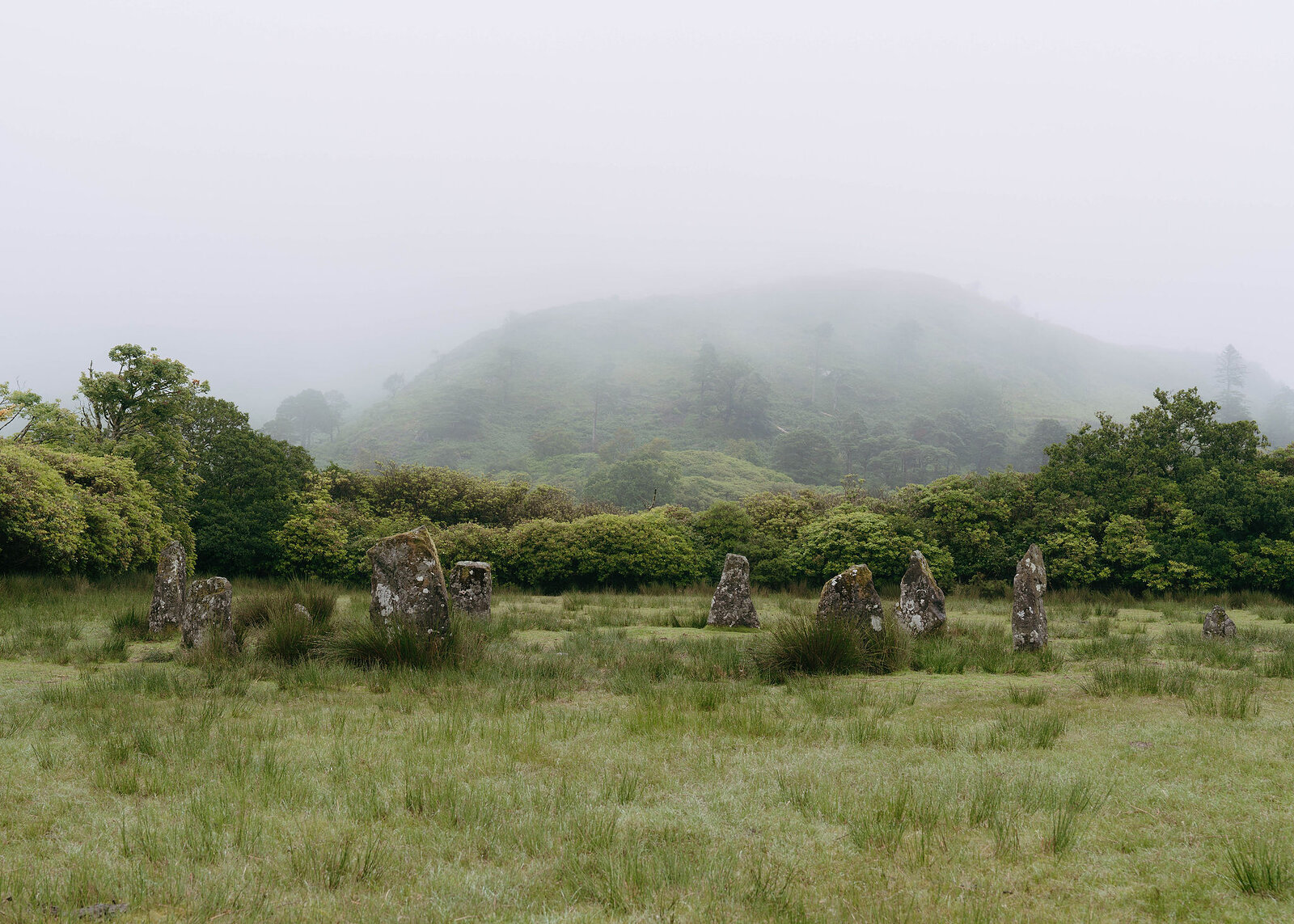 A stone circle of lichened standing stones in a rough green field, rhododendrons and a mist-wrapped hill behind.