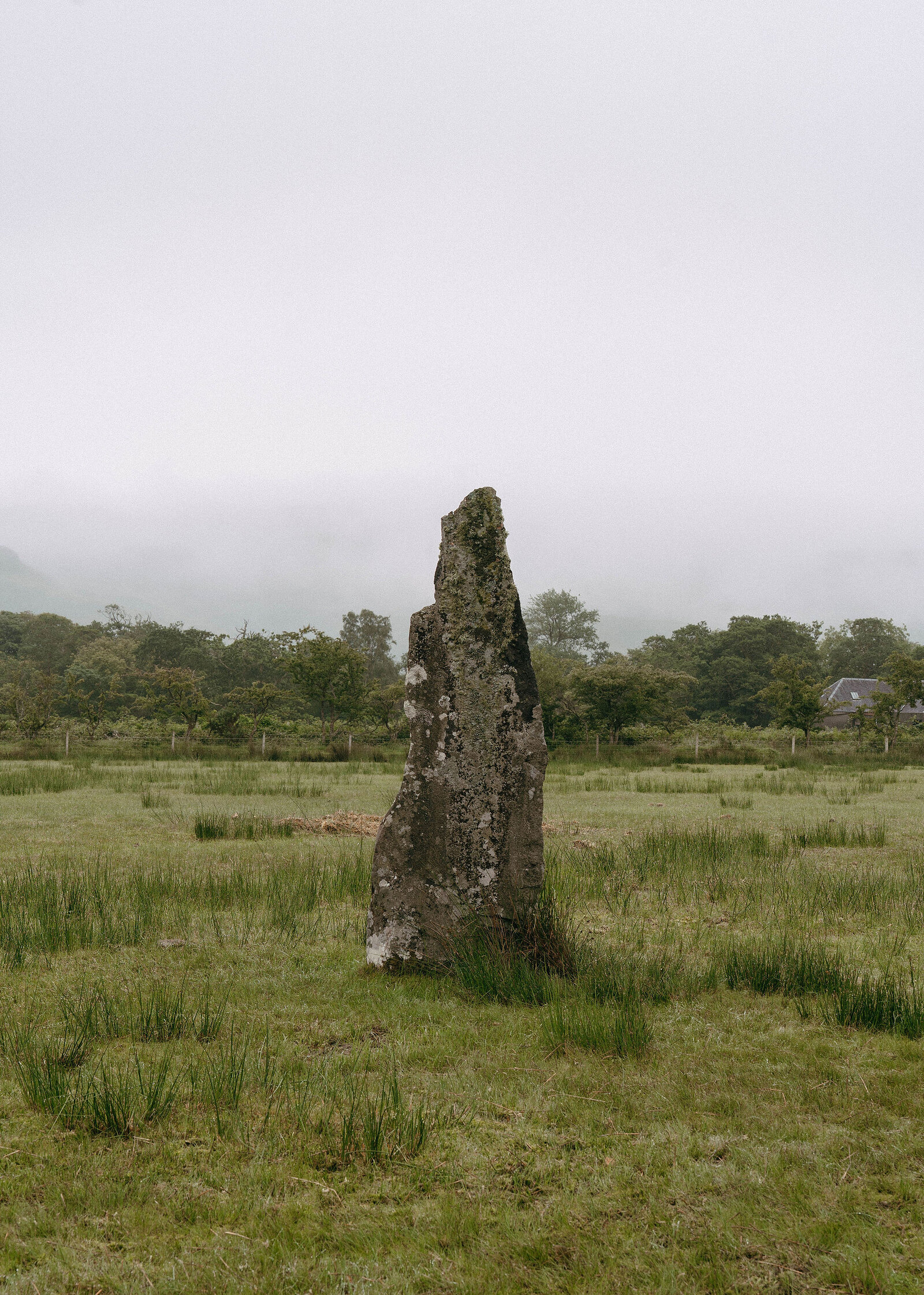 A tall slim standing stone alone in a wide grassy field, a line of trees and a white house far behind.