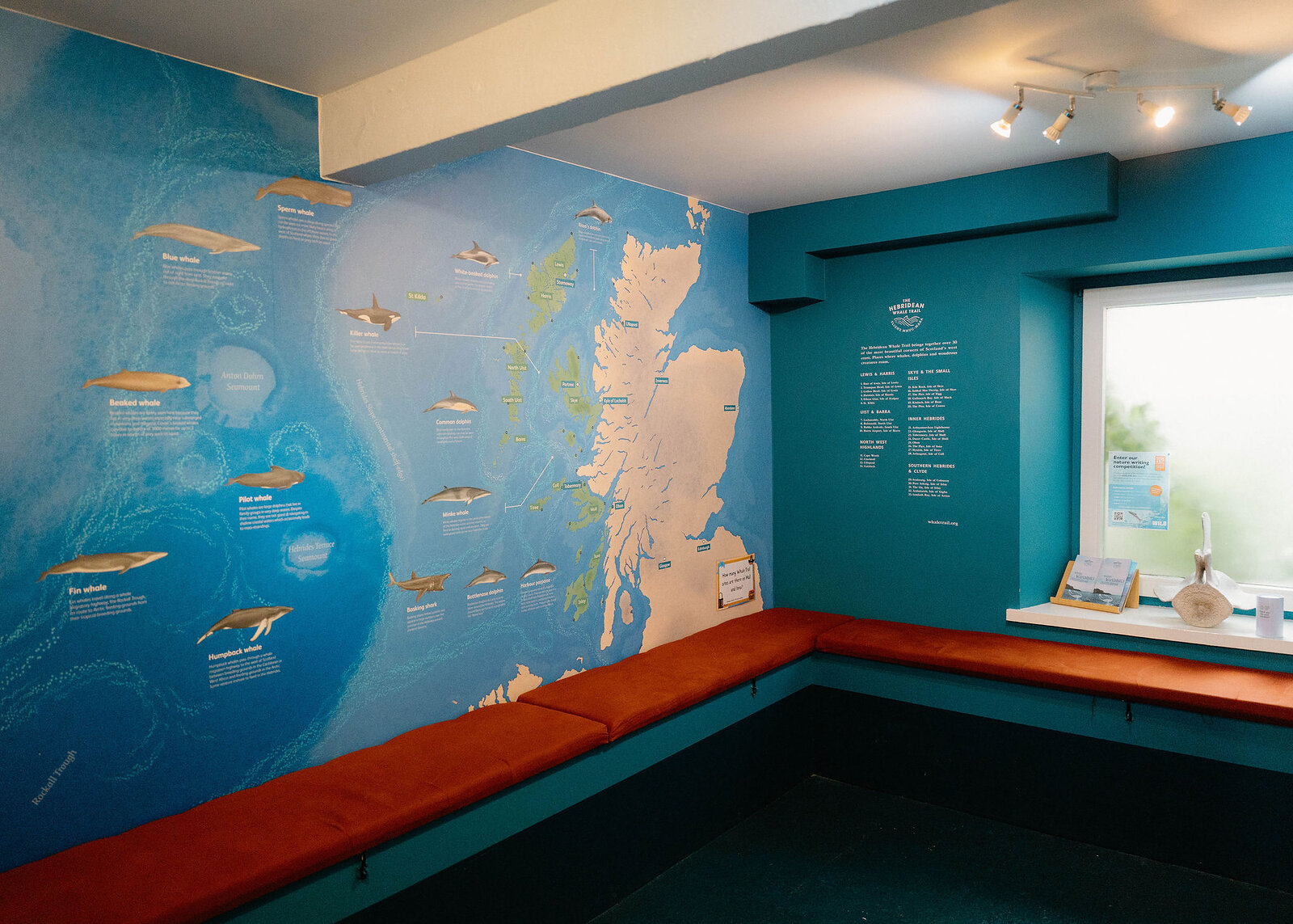A museum room with a painted wall map of Scotland and its whales, a red bench seat and a window.