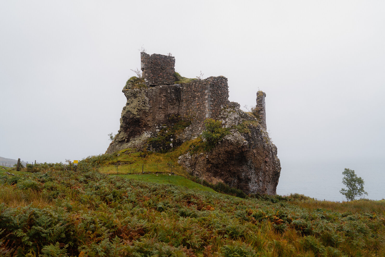 A ruined stone castle stands atop a grassy rocky outcrop in misty weather.
