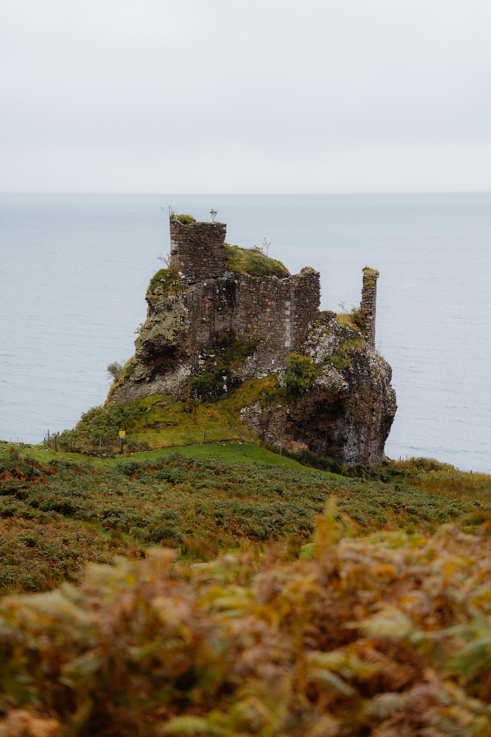 A ruined stone castle stands on a rocky headland above the sea, ferns in the foreground.